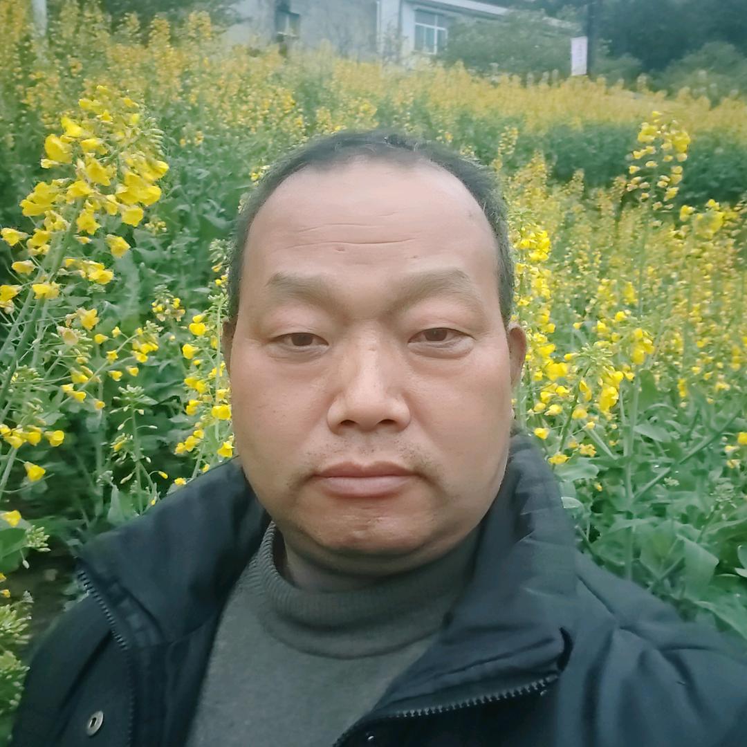 久别情深