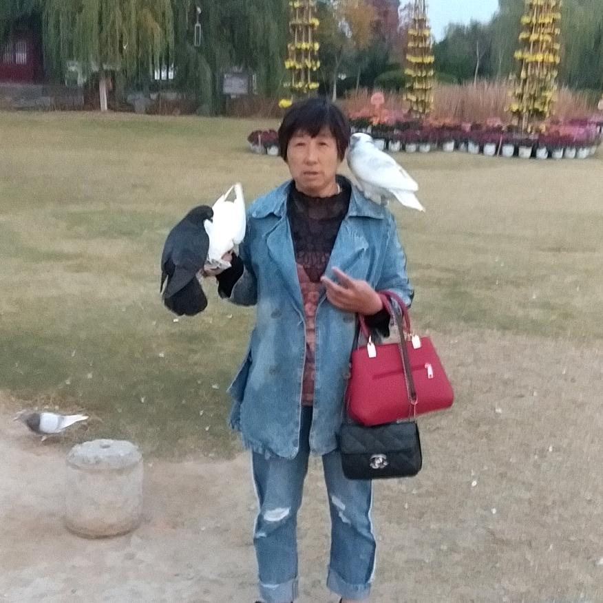 捡废品的婆婆
