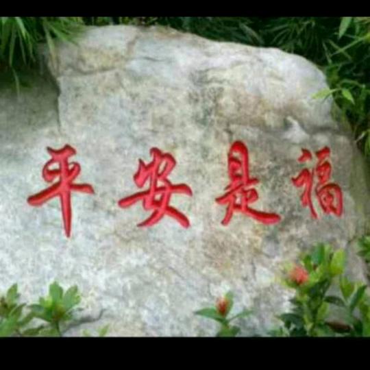 🌹红中🍒