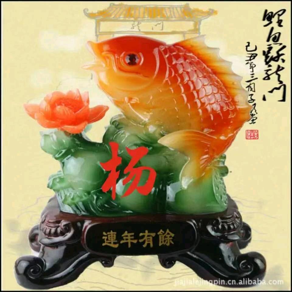 岁月知星辰