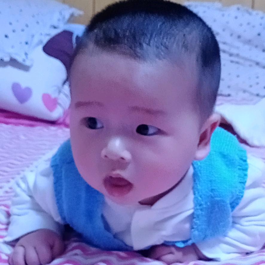 风中飘零