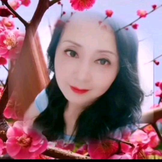 🌸花好月圆6