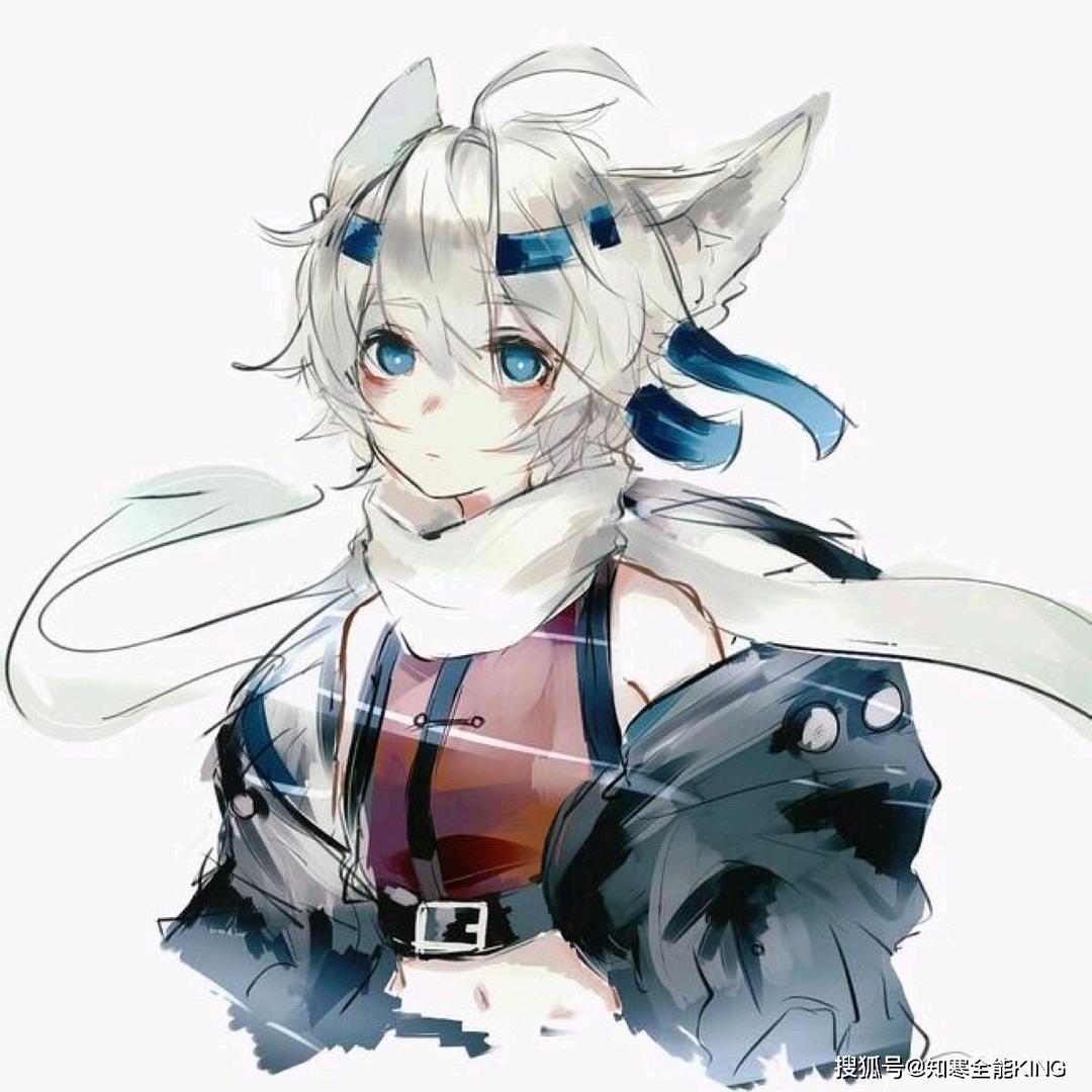 王者荣耀李元芳