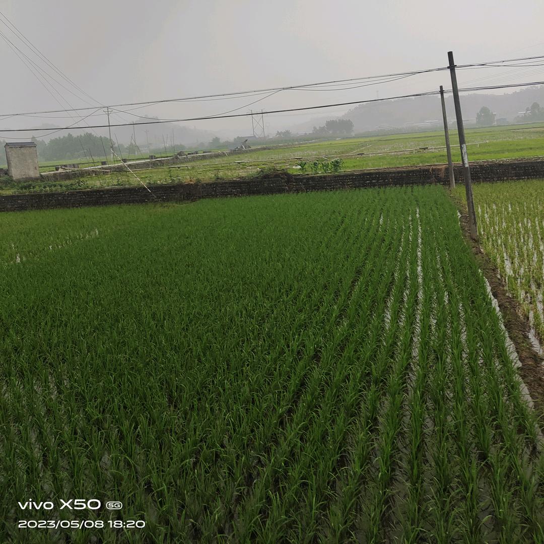 三苏故里