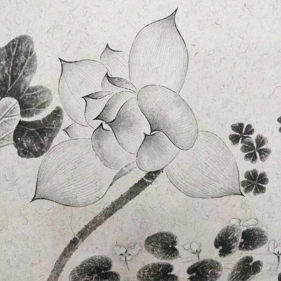 蓝飞