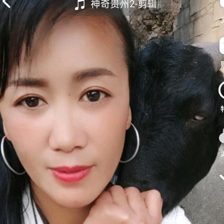 在不疯狂就老了