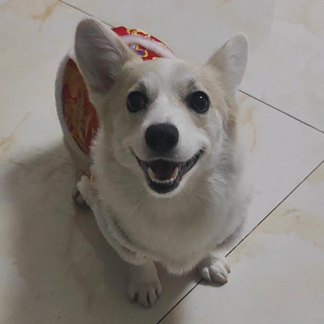 德子