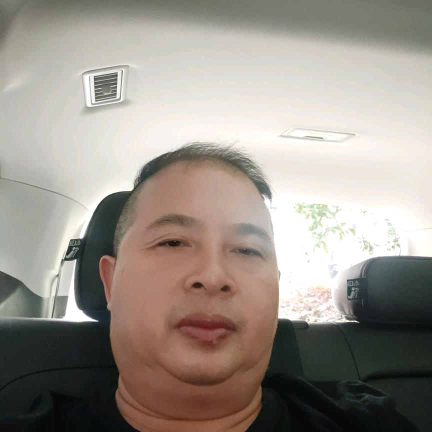 云中仙鹤