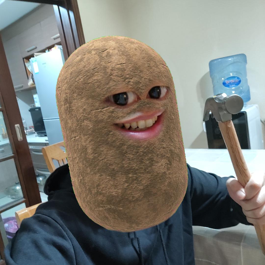 土豆聊装修