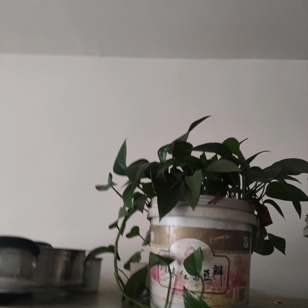 永不逝去的回忆