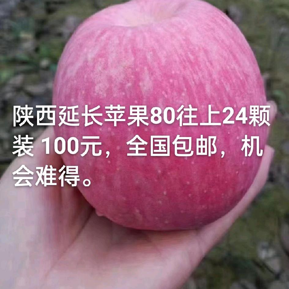 苹果大哥（焦成安）