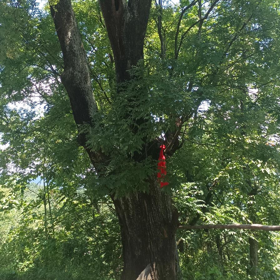 小李树下人家农副产品百货小店