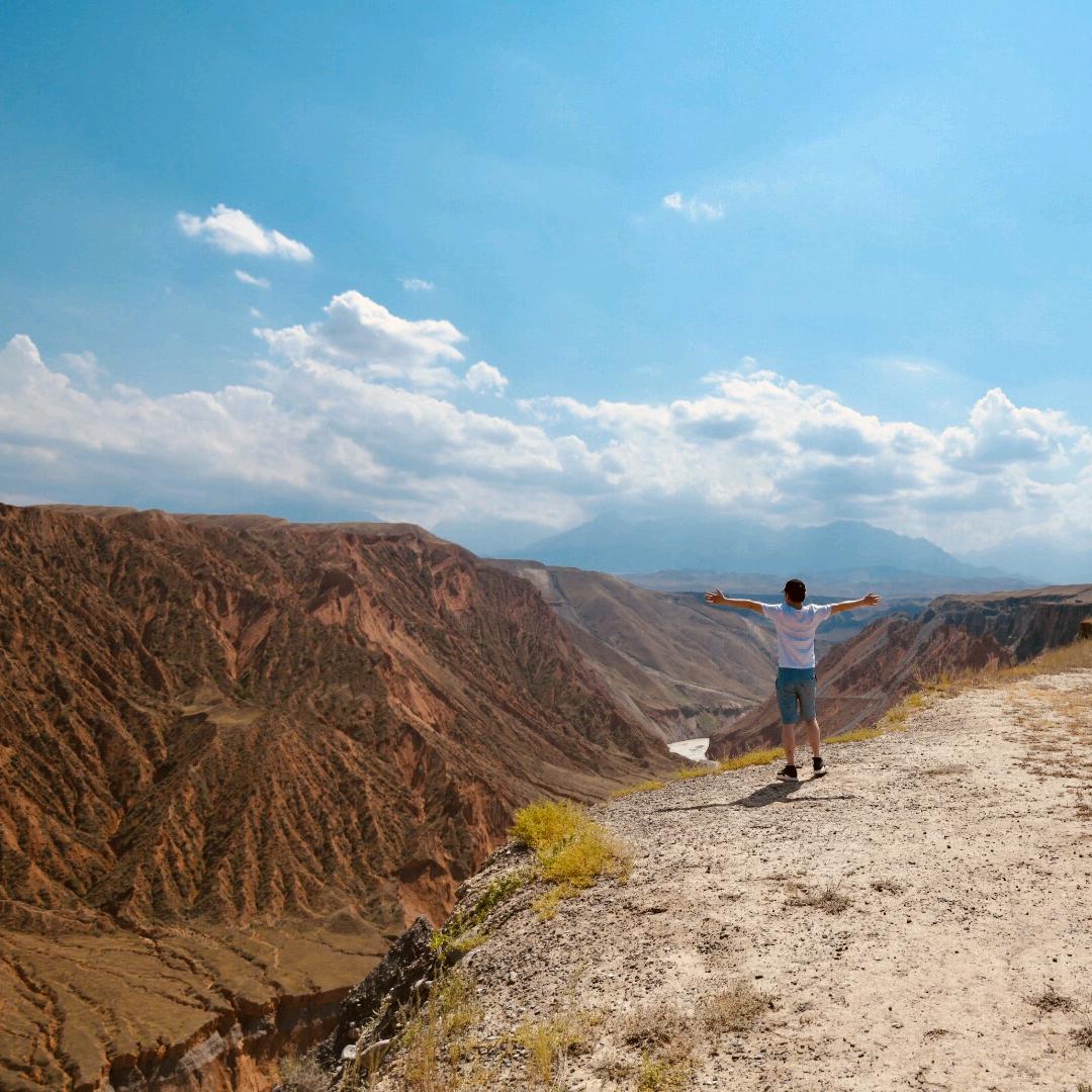 树欲静而风不止
