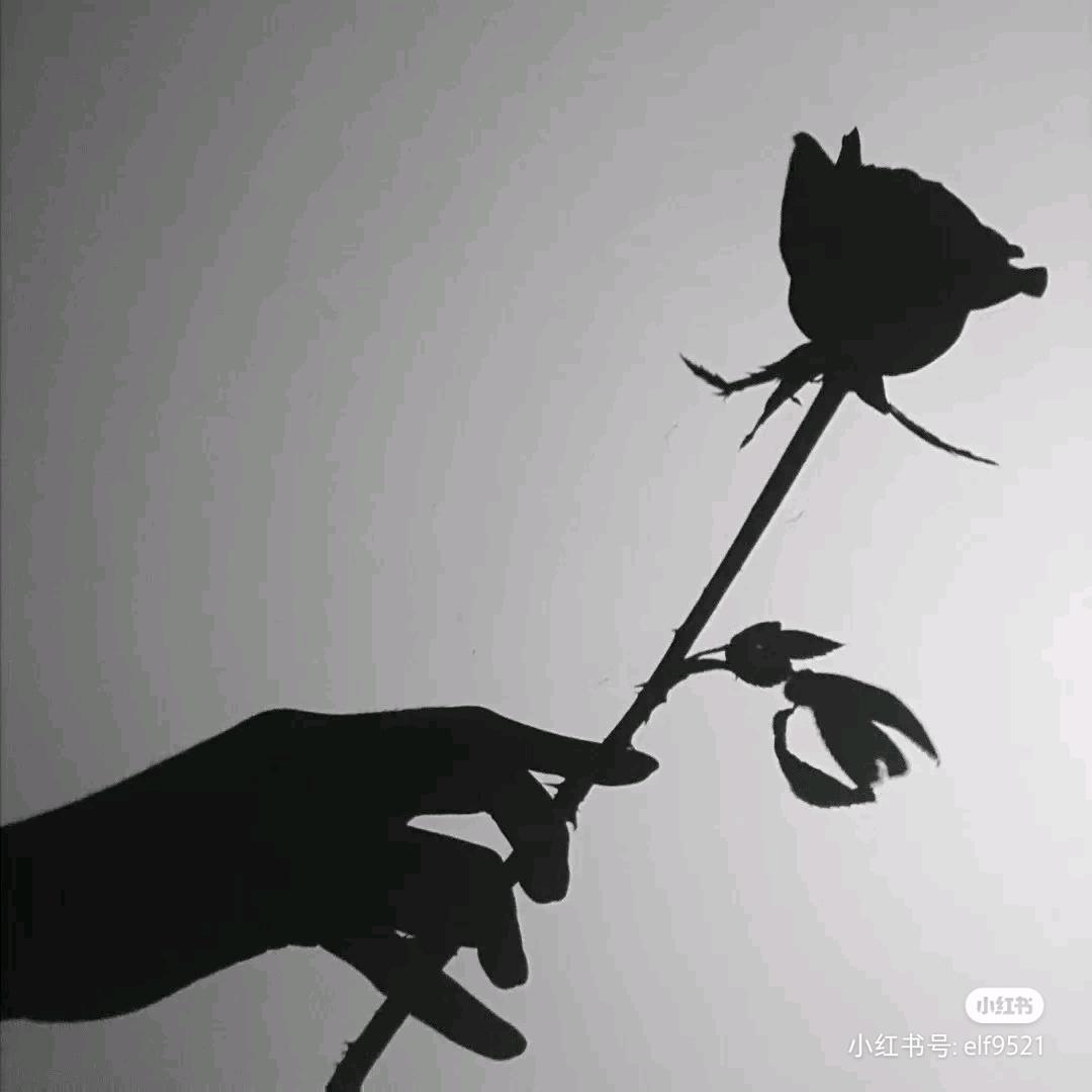 丶花开花落花熙熙