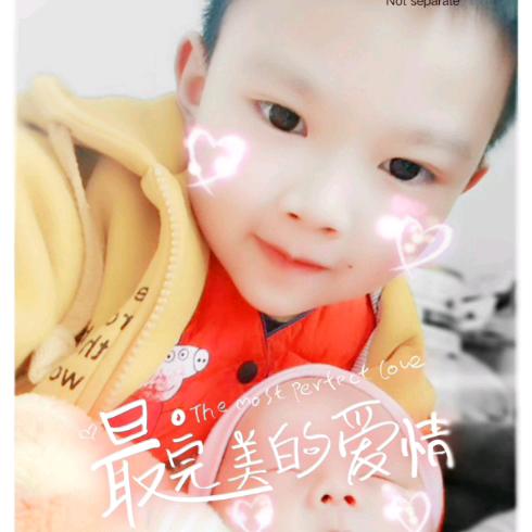 @王宏海【327】🐭