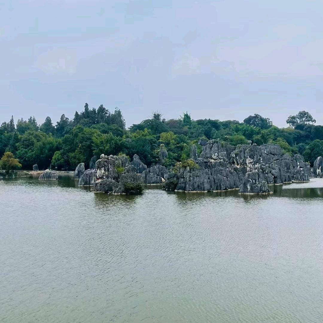 🌈🌈🌈@缘来如此