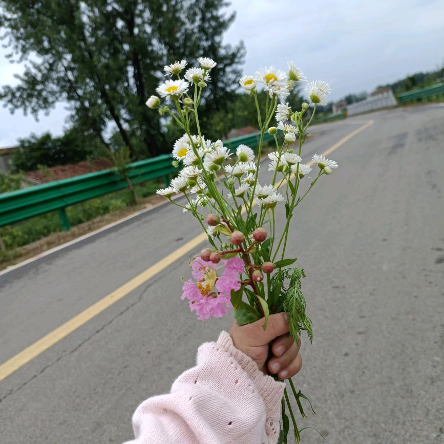 👼 猪小妹 爱分享