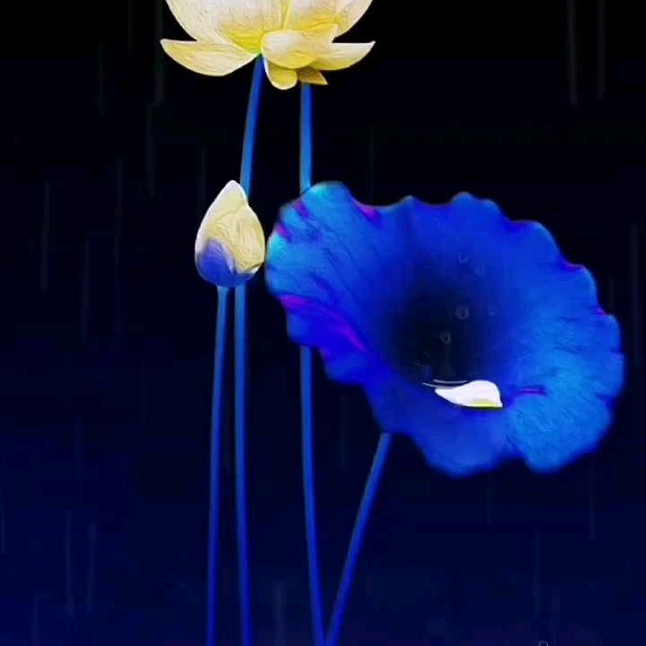 晨曦种业，批发零售种子肥料