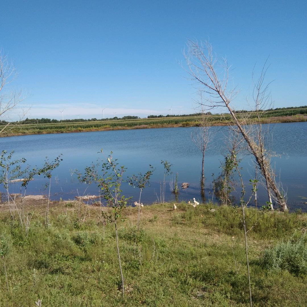 𝒀𝑳𝑮🍊雷哥