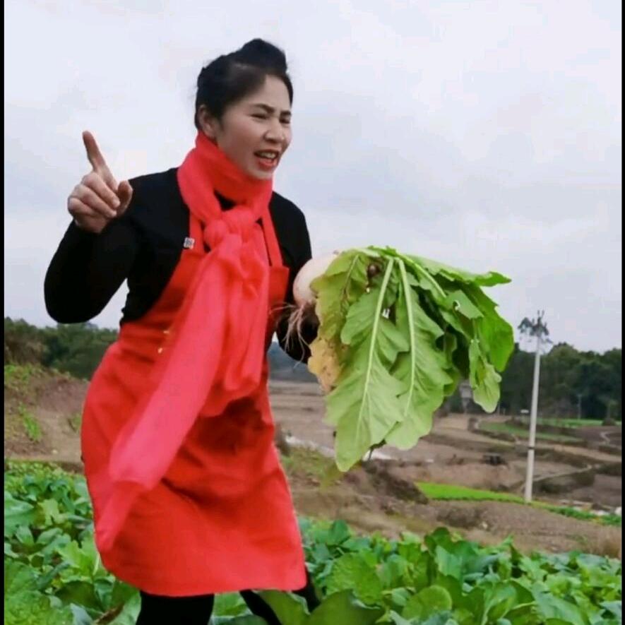 吕二杆巜晚上7.30开播》