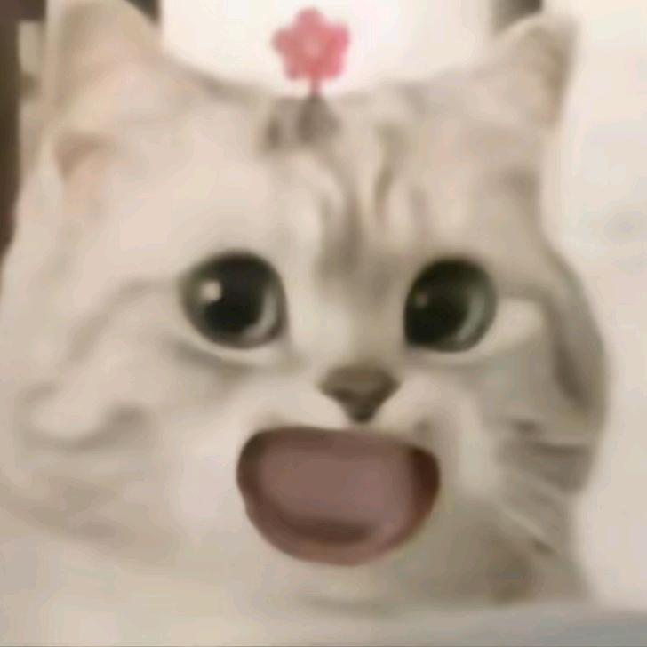 特意昂