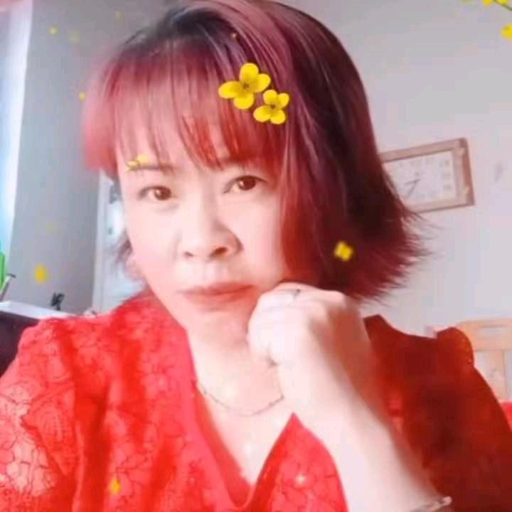 🌹四季花开🌹