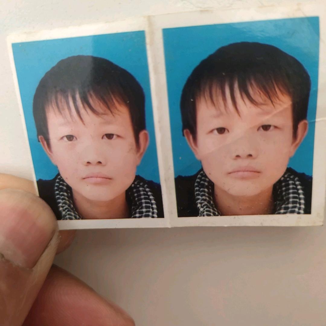张彦苹