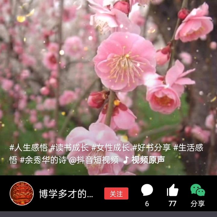 大浪淘沙