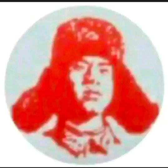 ✈️腾騛.百樂✈️