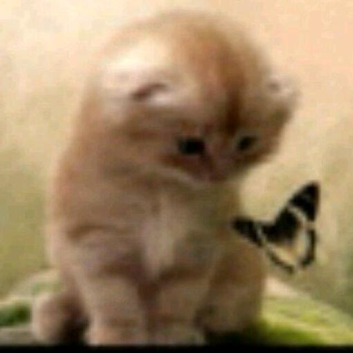 か那么真