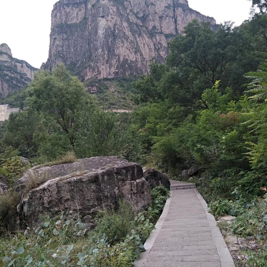 子玲