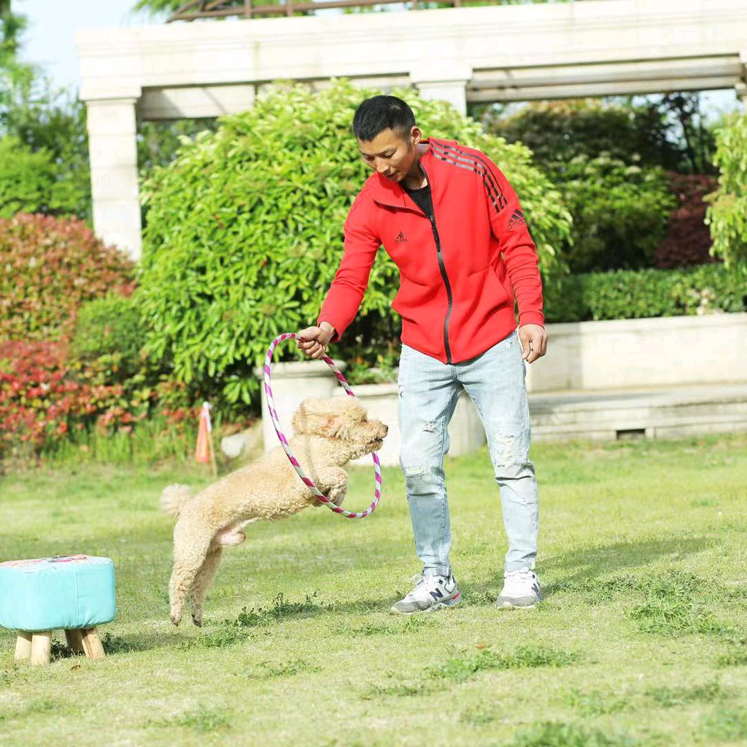 育宠之家训犬学校