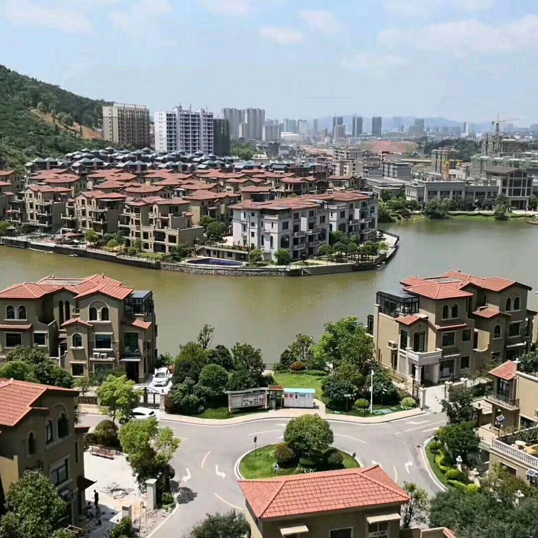 诚诚