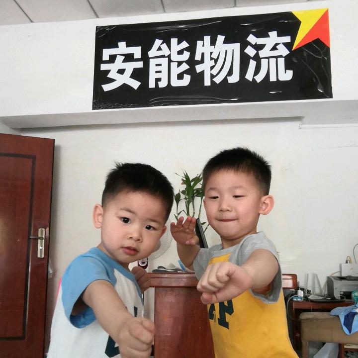 大岭山镇安能物流