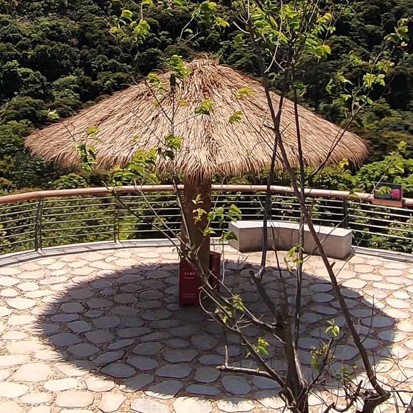 深游记