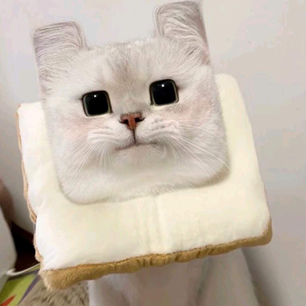 Ame