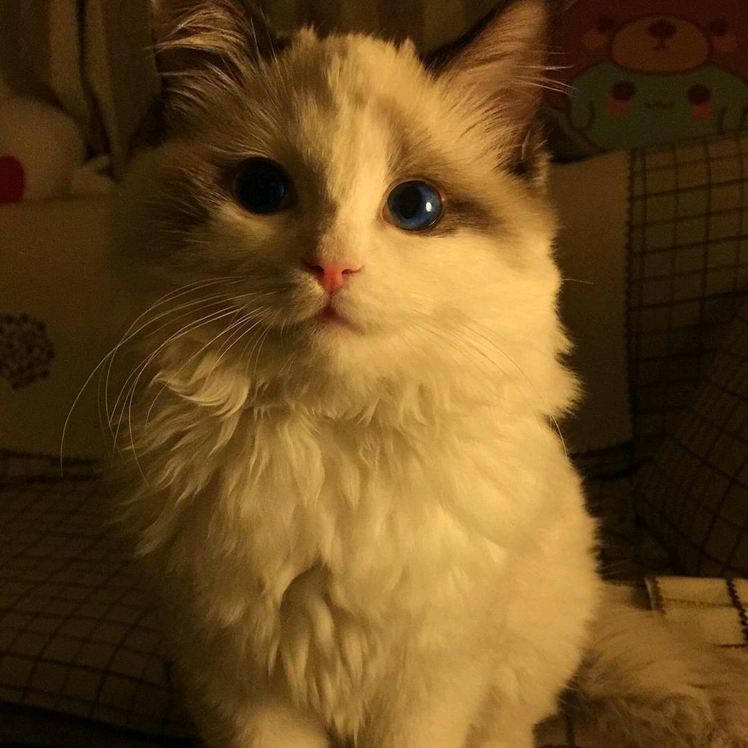 钞票很多张先生