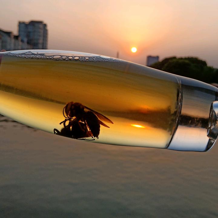 开启新的旅程