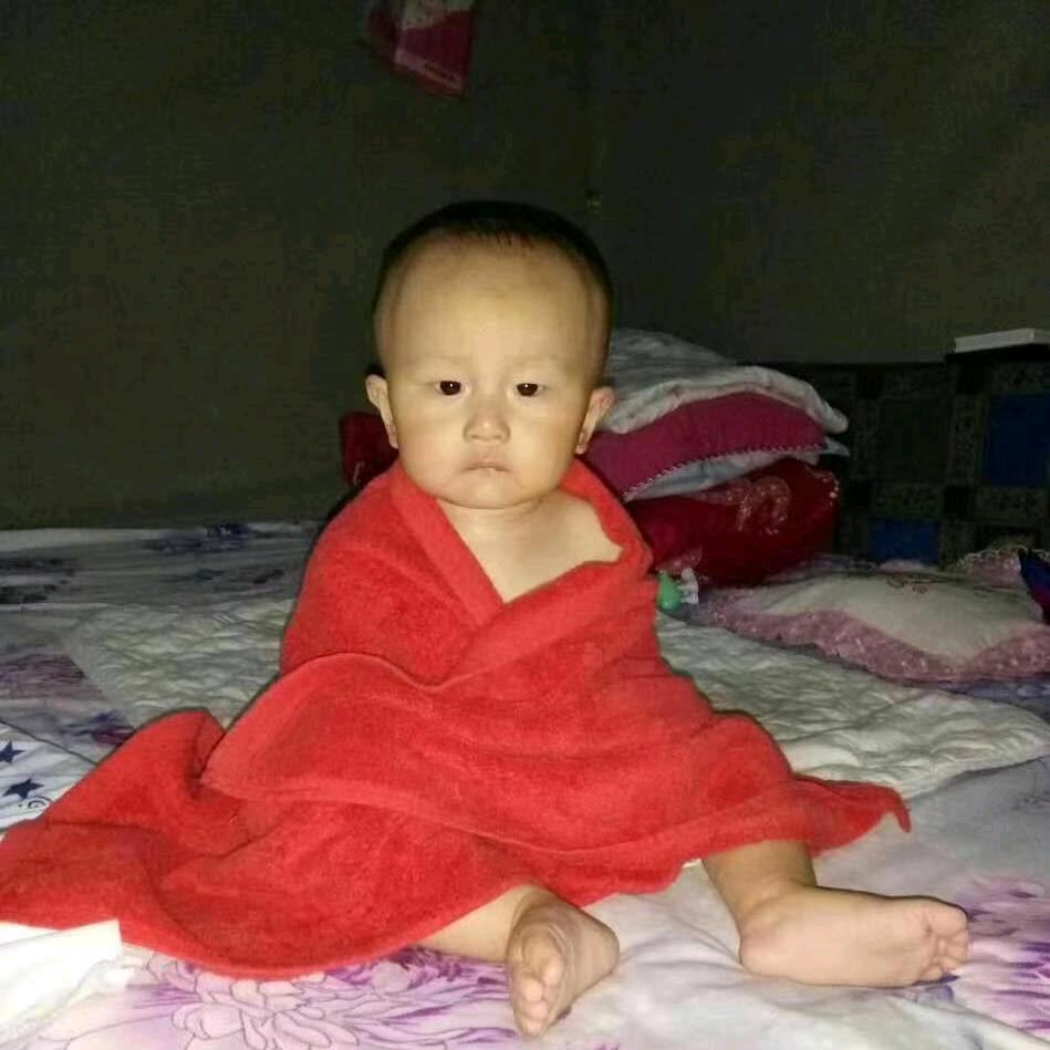 全家福