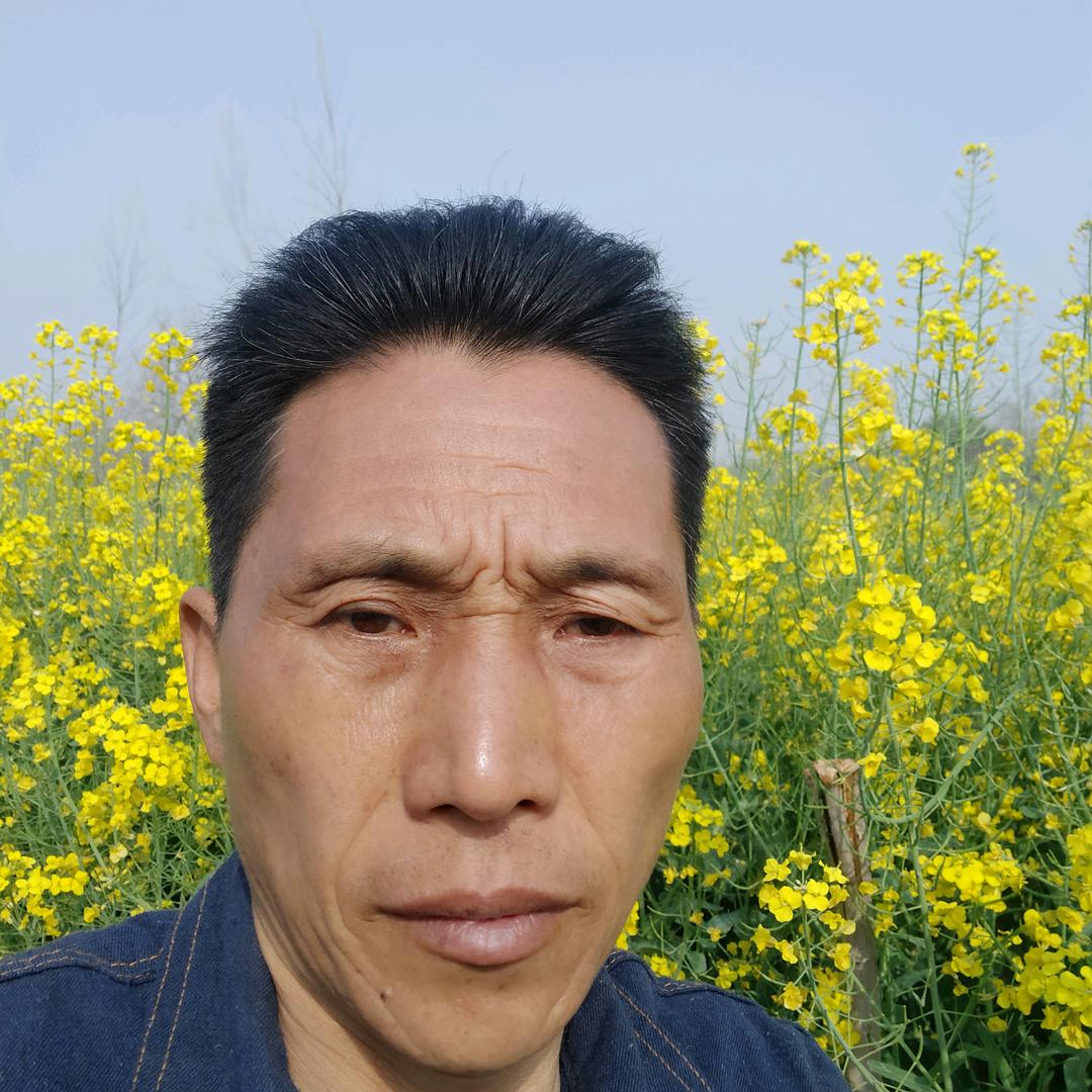 撒网捕鱼