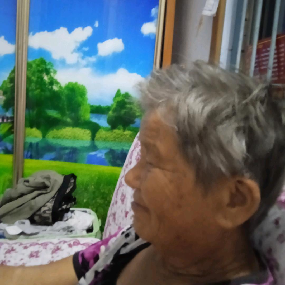 乎甲老潘