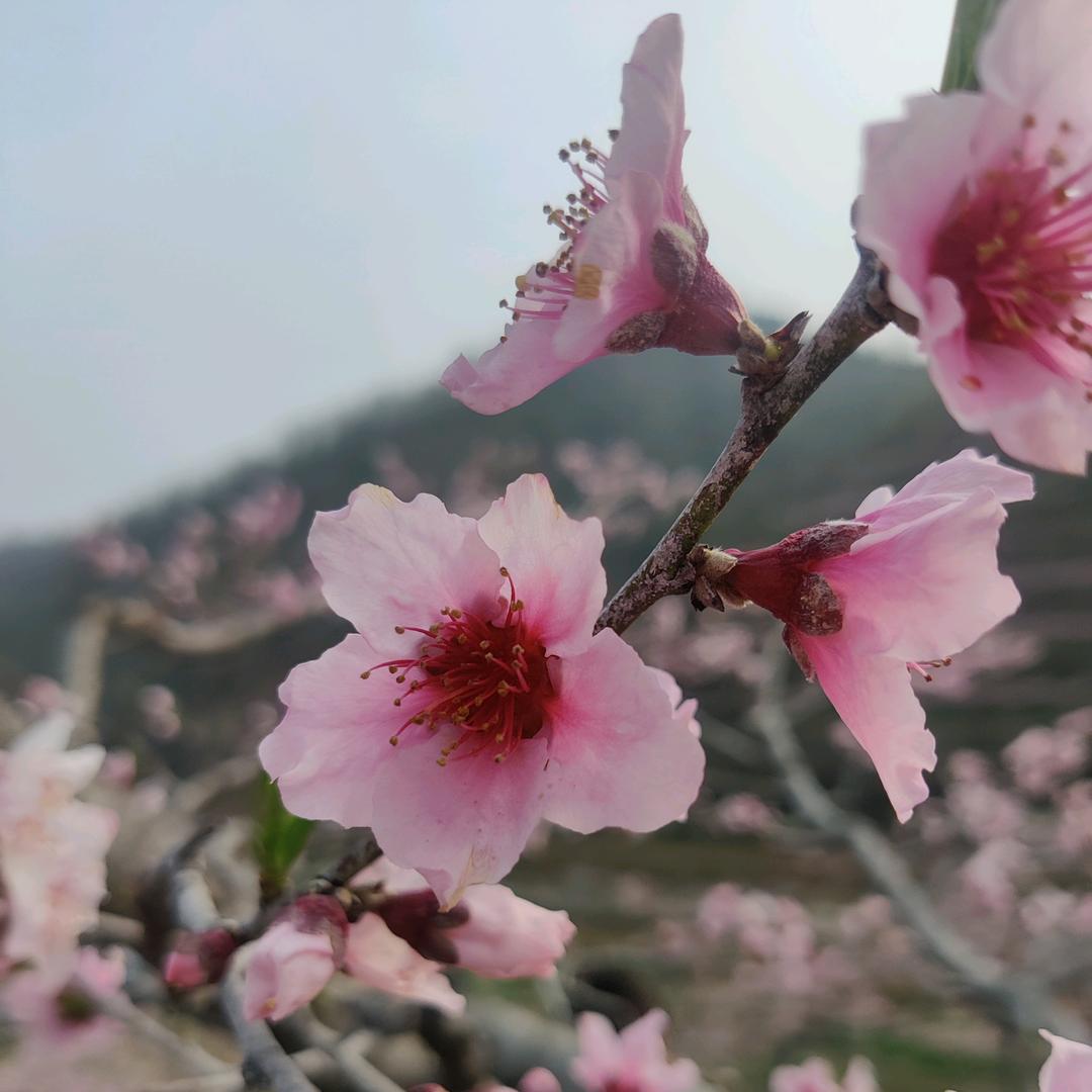 季末