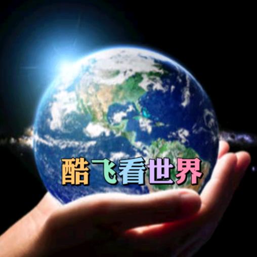 酷飞
