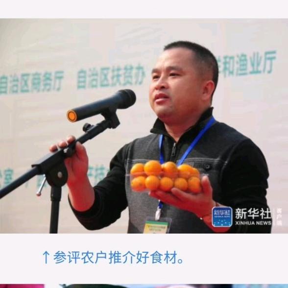 融安县建忠脆甜金桔农场（育苗）（桂源方案