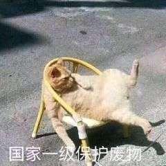 情绪