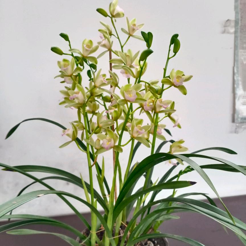 手机用户7913308256