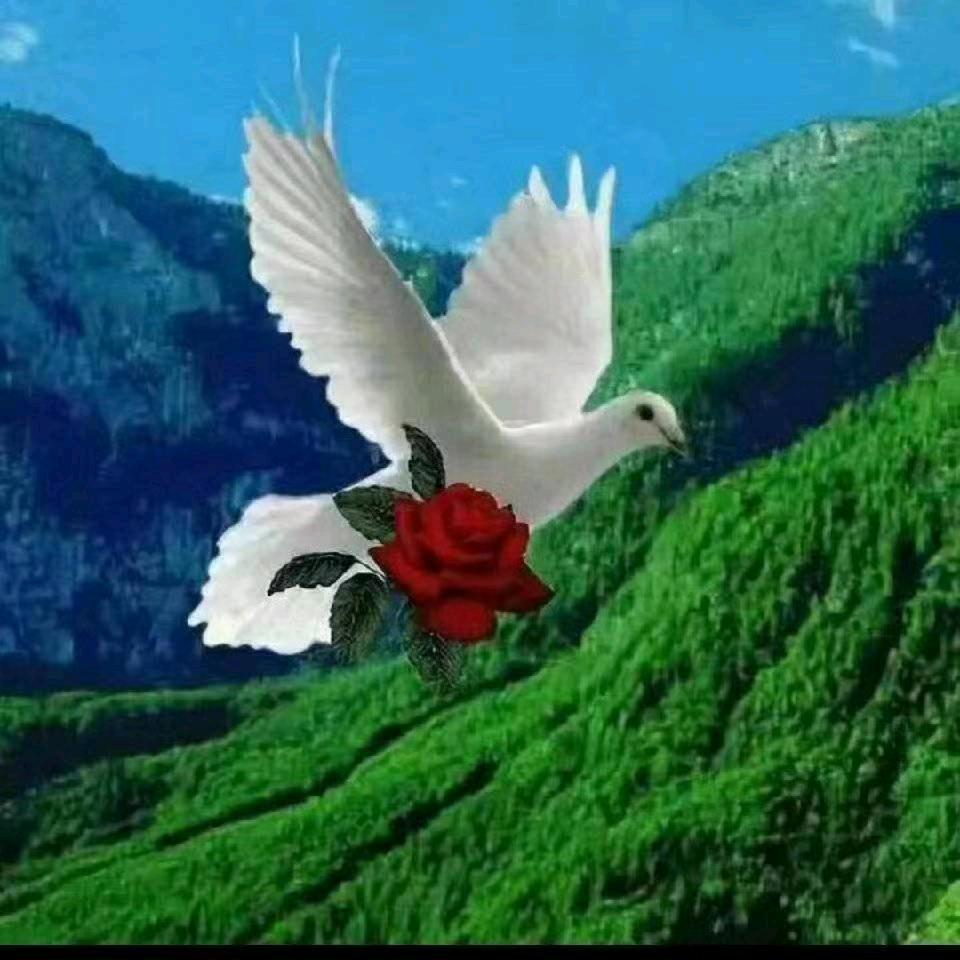 ak  almas