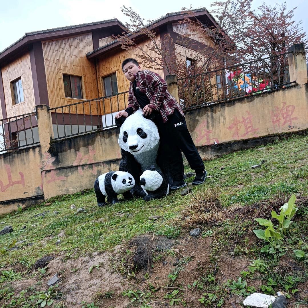 你的杨姐姐。