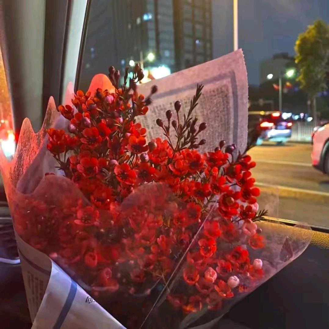 廖廖～✨