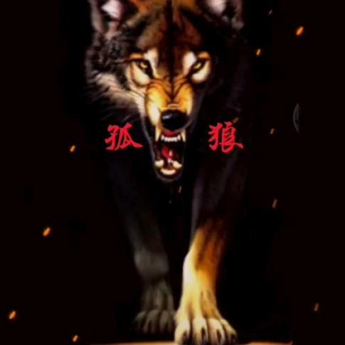 孤狼